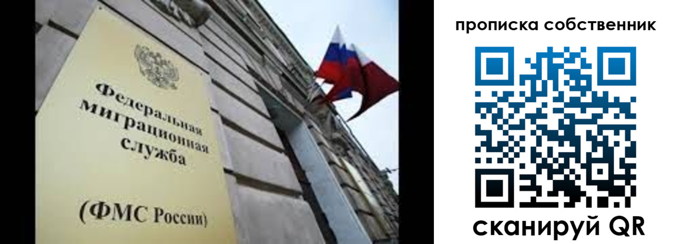 прописка гарантия в Реутове